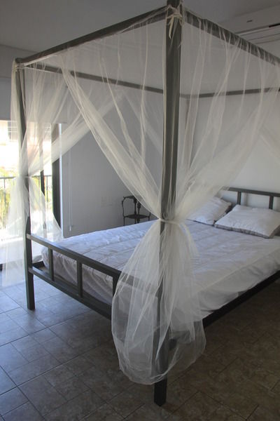 Hotel Alquimia By 5th Avenue Realty Group Playa del Carmen